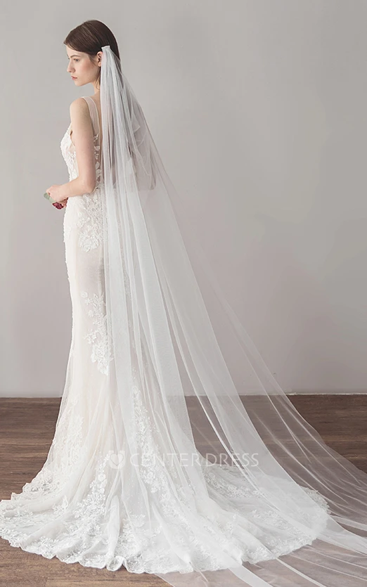 Deep V-back V-neck Lace Sleeveless Simple Mermaid Winter Wedding Dress With Illusion Top