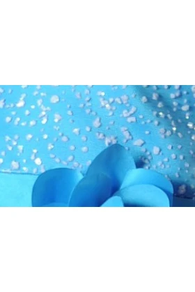 Flower Girl Scoop Neck A-line Tulle Long Dress With Waist Flower