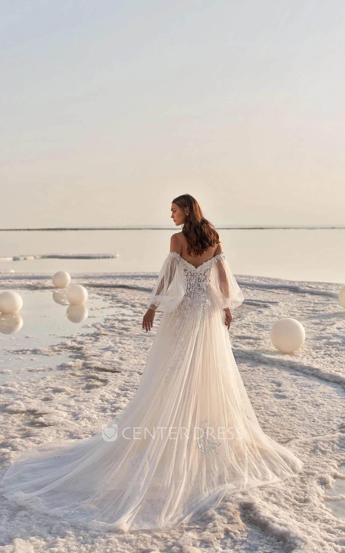 Chiffon V-neck Wedding Dress with Balloon Sleeves Elegant Beach or Garden Style