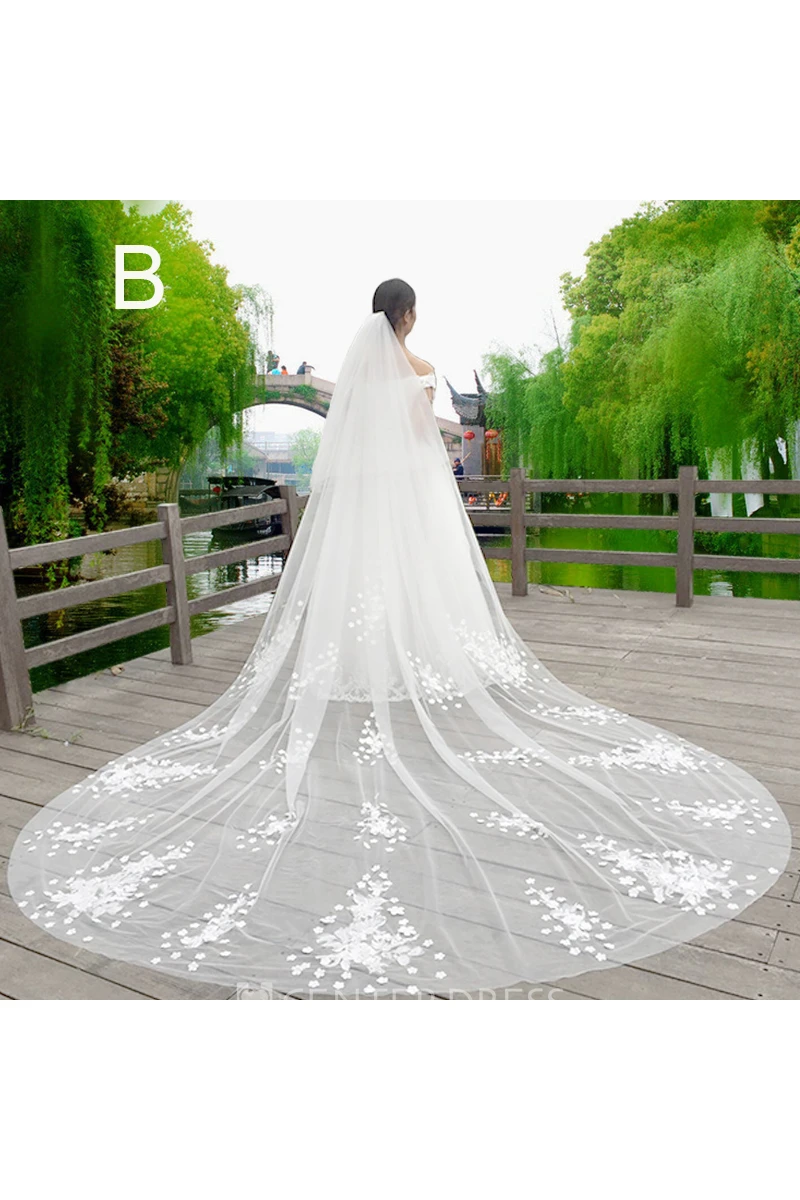 New Korean Style Lace Applique Large Tailed Tulle Super Long Veil