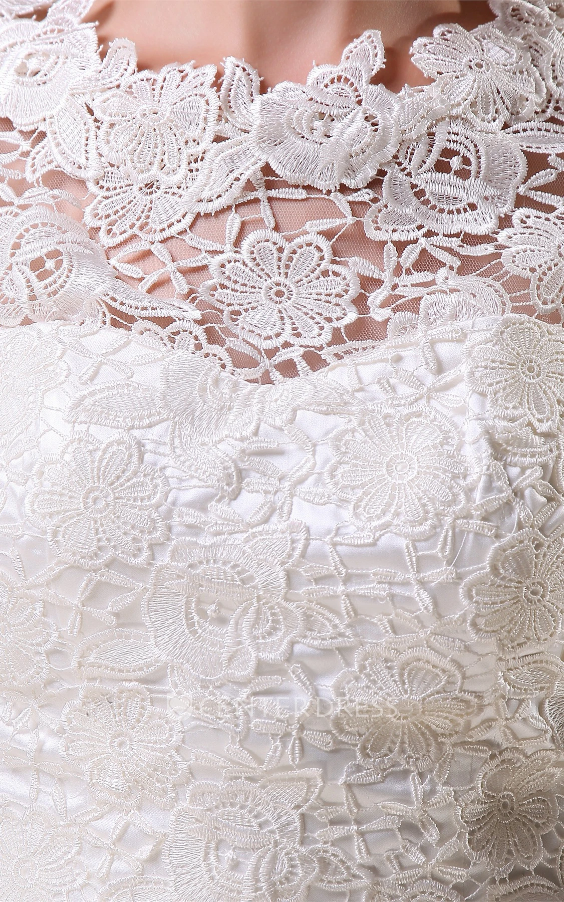 Refined Short A-Line Half Sleeve and Dress With Appliques