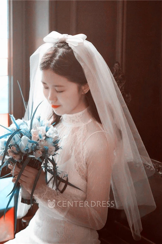 Simple Wedding Veil With Bow and Insert Comb