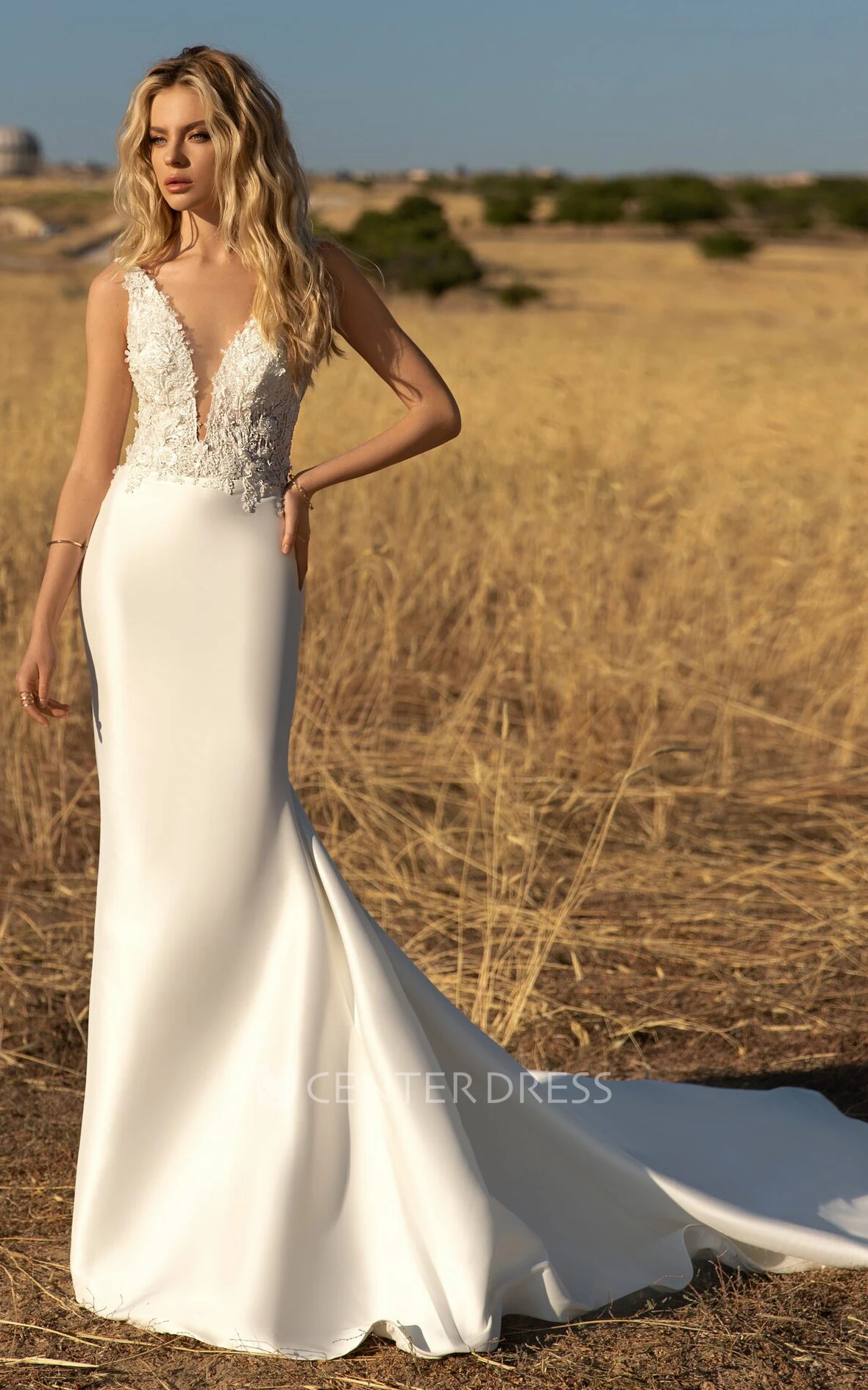 Elegant Sheath Sleeveless Court Train Satin Open Back Wedding Dress with Appliques