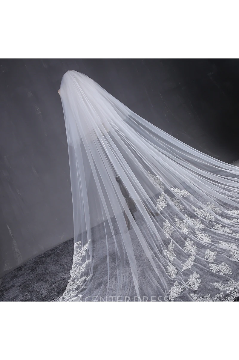 Ethereal Cathedral Tulle Wedding Veil with Lace Appliques