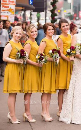Cap-sleeved A-line Knee-length Chiffon Dress with Pleats