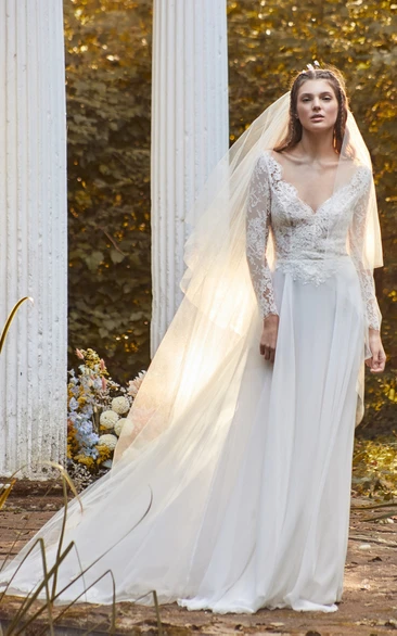 Chiffon V-neck Wedding Dress with Appliques Button Back Elegant Bridal Gown