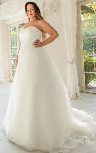 Modern A Line Organza Sweetheart Floor-Length Sleeveless Wedding Dress With Appliques