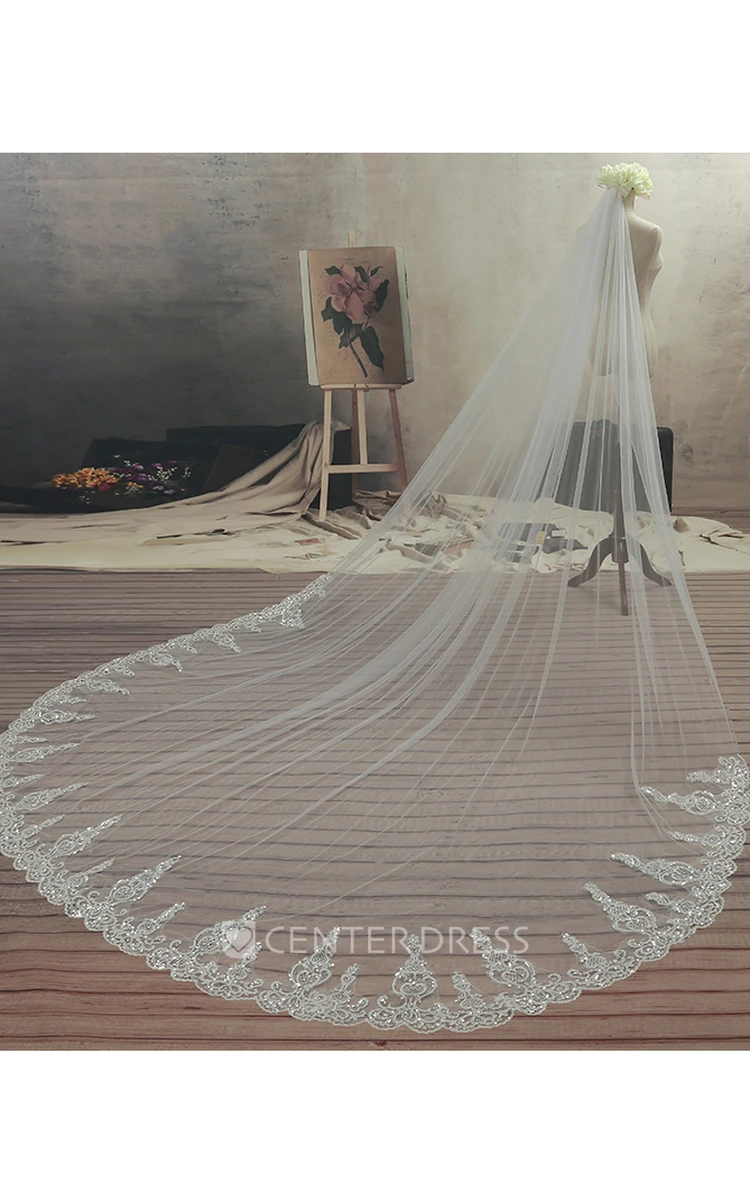 Ethereal Style Cathedral Tulle Wedding Veil with Lace Edge