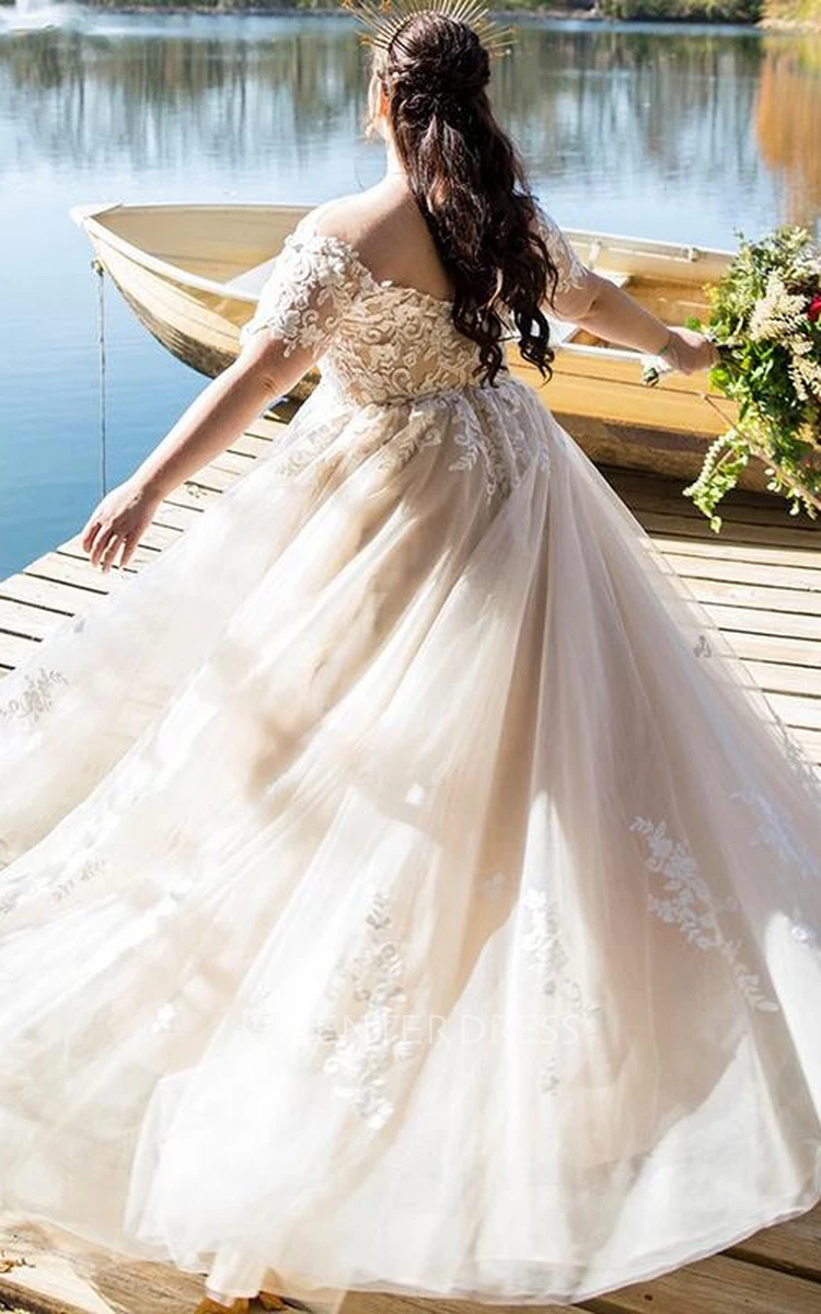 Simple A Line Tulle Off-the-shoulder Wedding Dress with Appliques