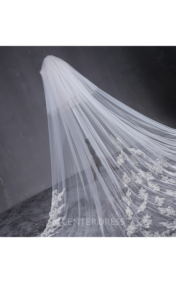 Ethereal Cathedral Tulle Wedding Veil with Lace Appliques