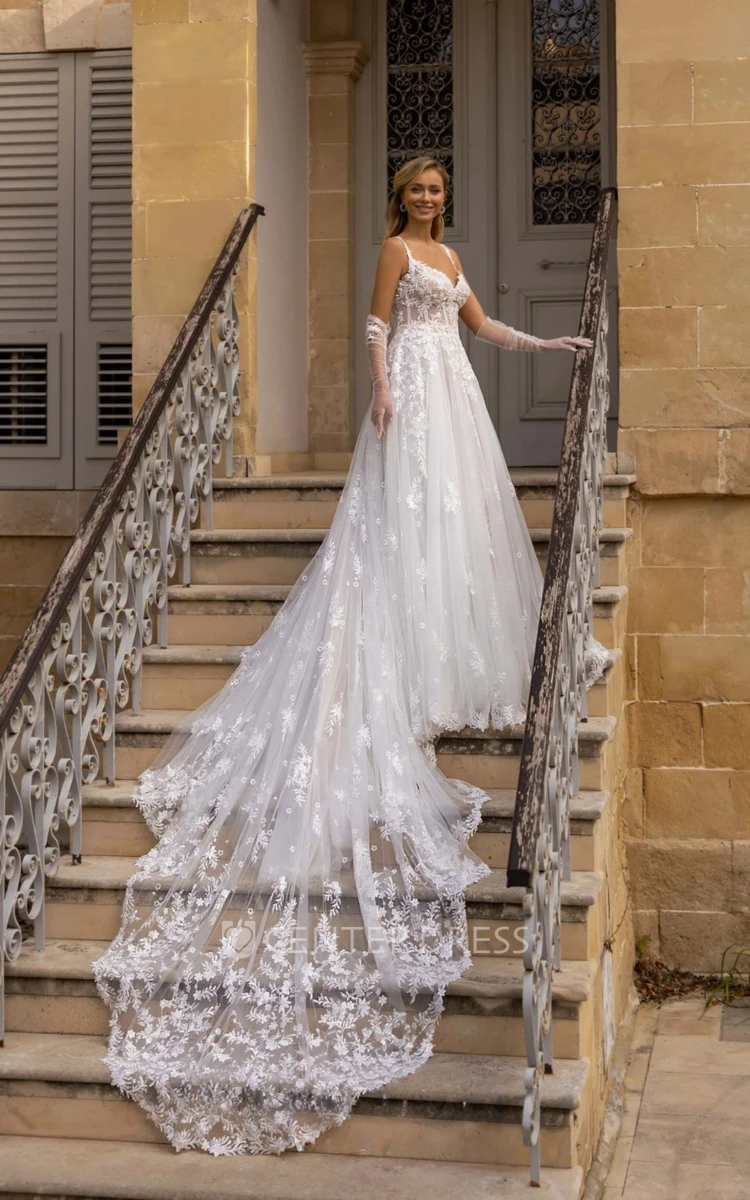 Elegant Vintage V-Neck Charming Lace Tulle Embroidered Long Dragtail Bridal Dress