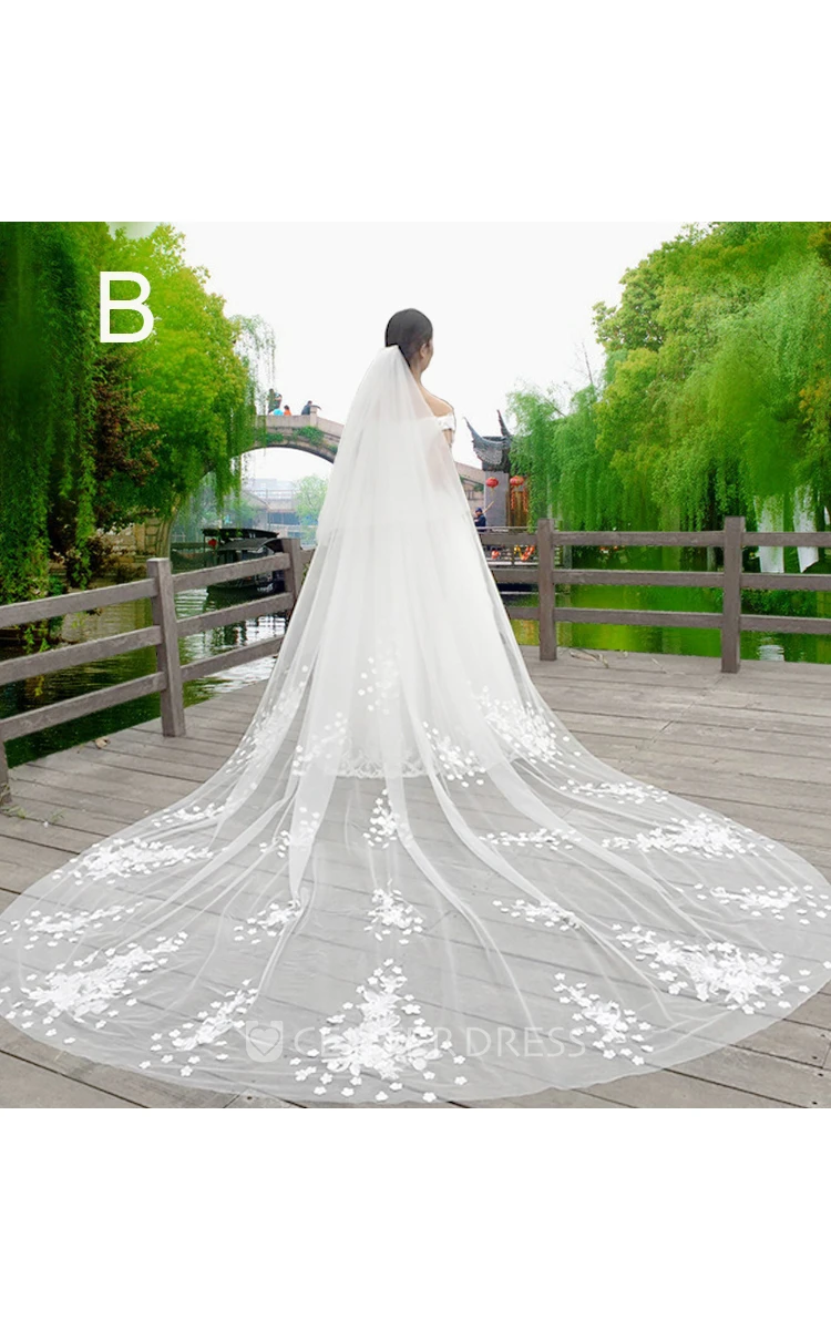 New Korean Style Lace Applique Large Tailed Tulle Super Long Veil