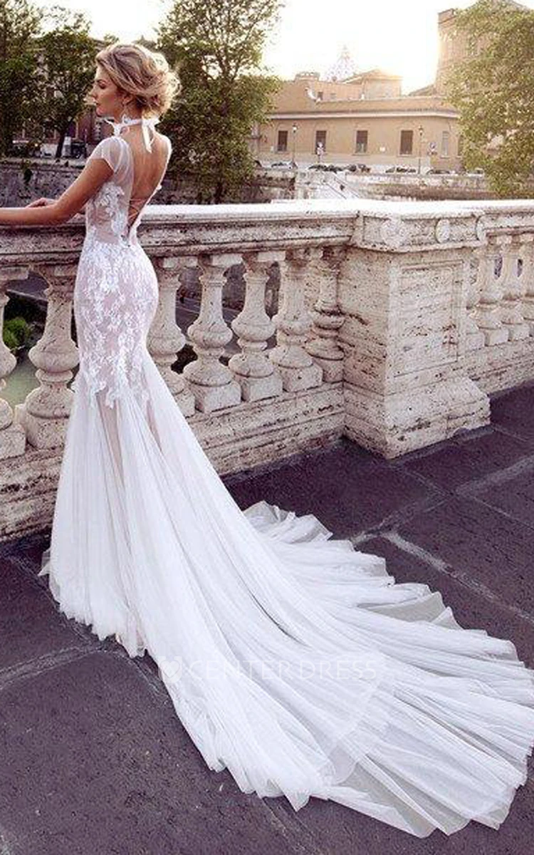 Gossamery Cap-Sleeve Illusion Tulle Wedding Dress With Lace And Court Train